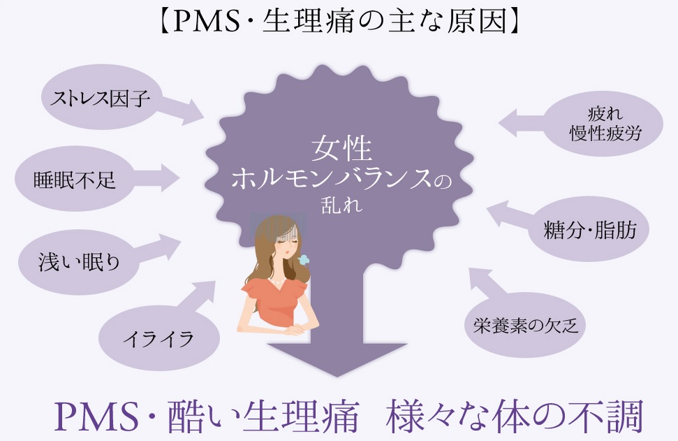 ノイ(noi)Lサポート 静の口コミと効果は？月経前症候群(PMS)の改善に効果が高いと言われるnoi Lサポート静の実力とは！